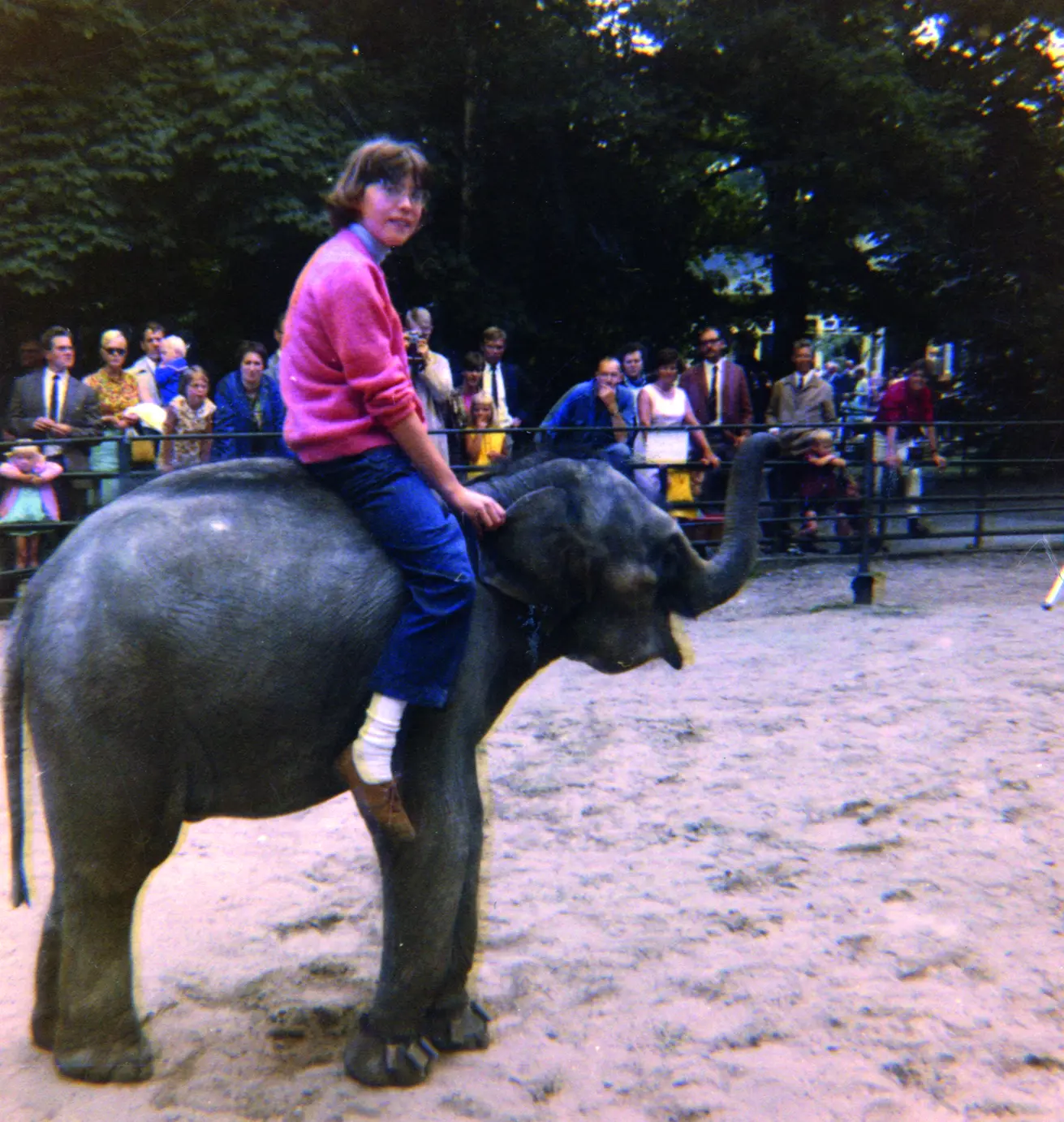 Foto uit Dierenverzorger - Het roer om